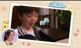 霍思燕卓伟爆料视频,真相与争议并存