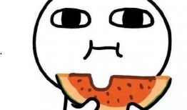 娱乐圈吃瓜呆头鹅,呆头鹅的趣味观察日记